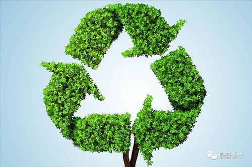 固廢治理 環保產業的核心賽道，聚焦四大潛力龍頭企業