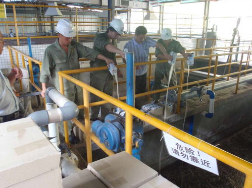 湘潭新手考證指南 固體廢物處理工證考試流程、體檢要求及污染治理工作解讀